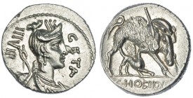 HOSIDIA. Denario. Incierta italiana (68 a.C.). R/ Jabalí a der., atravesado por una flecha y atacado por perro; en el exergo: C. HOSIDI. C. F. FFC-748...
