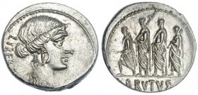 JUNIA. Denario. Roma (54 a.C.). A/ Cabeza de la Libertad con joya en el frente a der.; detrás: LIBERTAS. R/ Bruto marchando a izq. entre dos líctores ...