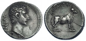 AUGUSTO. Denario. Samos (21-20 a.C.). A/ Cabeza descubierta de Augusto a der.; detrás: CAESAR. R/ Ternera a der.; encima: AVGVSTVS. FFC-19. SB-28. Con...