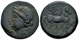 North Africa. Carthage. Trishekel. 264-241 BC. Second Punic War. (Sng Cop-344). (MAA-84). Anv.: Wreathed head of Tanit left. Rev.: Horse standing righ...
