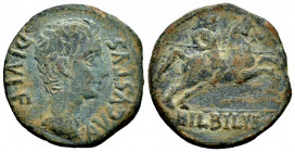 Bilbilis. Augustus period. Unit. 27 BC - 14 AD. Calatayud (Zaragoza). (Abh-275). Anv.: AVGVSTVS. DIV. F. bare head of Augustus right. Rev.: Horseman r...