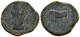 Caesaraugusta. Augustus period. Unit. 27 BC - 14 AD. Zaragoza. (Abh-318). Anv.: AVGVSTVS. DIVI. F. Laureate head of Augustus left. Rev.: Pair of oxen ...