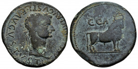 Caesaraugusta. Time of Tiberius. Unit. 14-36 AD. Zaragoza. (Abh-367). Anv.: TI. CAESAR. DIVI. AVGVSTI. F. AVGVSTVS. Laureate head of Tiberius right. R...