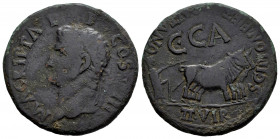 Caesaraugusta. Time of Caligula. Unit. 37-41 AD. Zaragoza. (Abh-386). (Acip-3108a). Anv.: M. AGRIPPA. L. F. COS. III. Head of Agripa left. Rev.: Pair ...