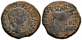 Calagurris. Time of Tiberius. Unit. 14 - 36 BC. Calahorra (La Rioja). (Abh-429). Anv.: TI. AVGVS. DIVI. AVGVSTLF. IMP. CAESAR. Laureate head of Tiberi...