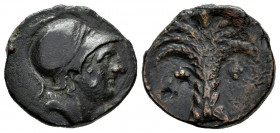 Carthage Nova. Calco. 220-215 a.C. Cartagena (Murcia). (Abh-518). (Acip-581). (C-41). Anv.: Helmeted male head right . Rev.: Palm tree with fruits. Ae...