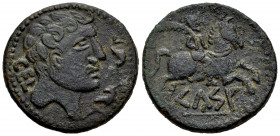 Kelse-Celsa. Unit. 120-50 BC. Velilla de Ebro (Zaragoza). (Abh-773). Anv.: Male head right, two dolphins before, latin legend CEL behind. Rev.: Horsem...