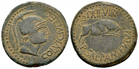 Kelse-Celsa. Unit. 50-30 BC. Velilla de Ebro (Zaragoza). (Abh-799). (Acip-1496). Anv.: COL. VIC. IVL. LEP. Helmeted male head right. Rev.: Bull chargi...