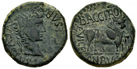 Kelse-Celsa. Time of Tiberius. Unit. 14-36 AD. Velilla de Ebro (Zaragoza). (Abh-819). Anv.: TI. CAESAR. AVGVSTVS. Laureate head of Tiberius right. Rev...
