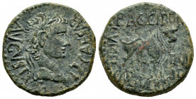 Kelse-Celsa. Time of Tiberius. Unit. 14-36 AD. Velilla de Ebro (Zaragoza). (Abh-819). Anv.: TI. CAESAR. AVGVSTVS. Laureate head of Tiberius right. Rev...