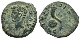 Italica. Augustus period. Half unit. 27 BC - 14 AD. Santiponce (Sevilla). (Abh-1588). Anv.: PERM. AVG. Head of Augustus left. Rev.: Cornucopia and glo...