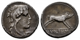Volteius. M. Volteius M.f. Denarius. 78 BC. Rome. (Ffc-1233). (Craw-385/2). (Cal-1395). Anv.: Head of young Hercules, wearing lion's skin right. Rev.:...