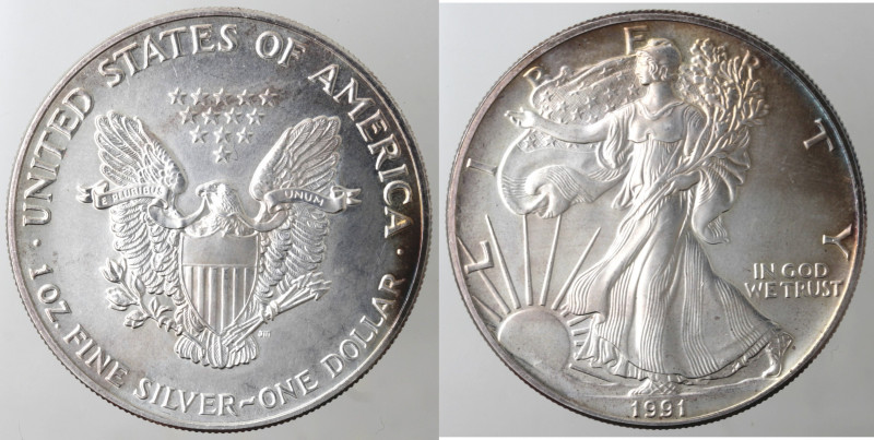 Monete Estere. USA. Oncia 1991. Ag. Peso gr. 31,24. FDC. (3722)