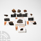 Meteorite Collection. . A mixed group of nine meteorite specimens mounted on custom-made display stands, held in collector's cases or in collector's b...