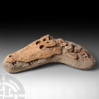 Deinosuchus Extinct Crocodile Fossil Skull. Late Cretaceous Period, 82-73 million years B.P. A fossil crocodile skull from an extinct species, probabl...