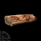 Fossil Wood Branch. Triassic Period, c.210 million years B.P. A fossil wood branch of an araucaria tree, polished at one end to show internal structur...