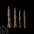 Massive British Fossil Belemnite Collection. Jurassic Period, c.160-150 million years B.P. A group of four large British belemnites, possibly Oxfordia...
