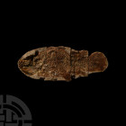 Coelacanth Fossil Fish. Triassic Period, c.247 million years B.P. A fossil coelacanth Whiteia woodwardia fish showing good details, including fins, ta...