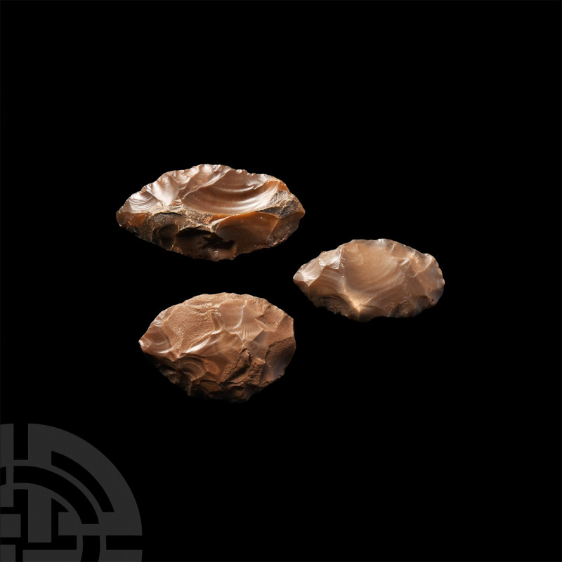 Stone Age Stone Tool Collection. Palaeolithic, c.150,000 B.P. A group of leaf-sh...