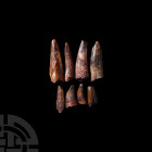 Spinosaurus Dinosaur Fossil Tooth Group. Cretaceous Period, 145-65 million years B.P. A group of eight Spinosaurs maroccanus fossil teeth. 46 grams to...