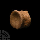 British Pliosaurus Marine Dinosaur Fossil Vertebra. Lower Jurassic Period, c.160 million years B.P. A British pliosaurus marine dinosaur fossil verteb...
