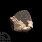 British Fossil Turtle Carapace Section. Eocene Period, 58-36 million years B.P. A fossil turtle carapace segment; held in a white card collector's tra...