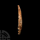 Fossil Hybodus Shark Dorsal Spine. Mesozoic Era, c.250-65 million years B.P. A fossil dorsal spine from the shark Hybodus sp. 27 grams, 13.7 cm long (...