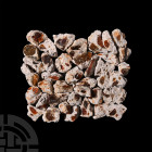 Fire Opal Specimen Collection. A group of forty irregular grey matrices, each containing multiple orange fire opal specimens. 855 grams total, 36-55 m...