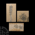 Mocha Stone (Dendritic Agate) Specimen Group. A group of three mocha stone specimens, each exhibiting finely formed dendrites of manganese oxide to bo...