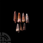 Spinosaurus Dinosaur Fossil Tooth Group. Cretaceous Period, 145-65 million years B.P. A group of seven Spinosaurs maroccanus fossil teeth. 32 grams to...
