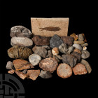 Fossil Collection. Carboniferous to Jurassic Period, 359-145 million years B.P. A collection of various fossils comprising: white Pecopteris sp. fern ...