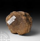 Huge British Pliosaurus Marine Dinosaur Fossil Vertebra. Jurassic Period, c.66 million years B.P. A large fossil vertebra from a marine dinosaur; acco...
