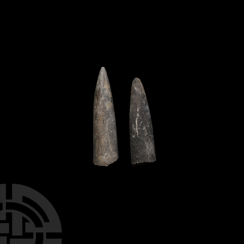 British Fossil Belemnite Pair. Jurassic Period, c.190 million years B.P. A pair ...