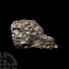 Welsh Fossil Brachiopod Slab. Ordovician Period, c.460 million years B.P. A Welsh limestone slab containing numerous strophomenoidean brachiopods. 451...