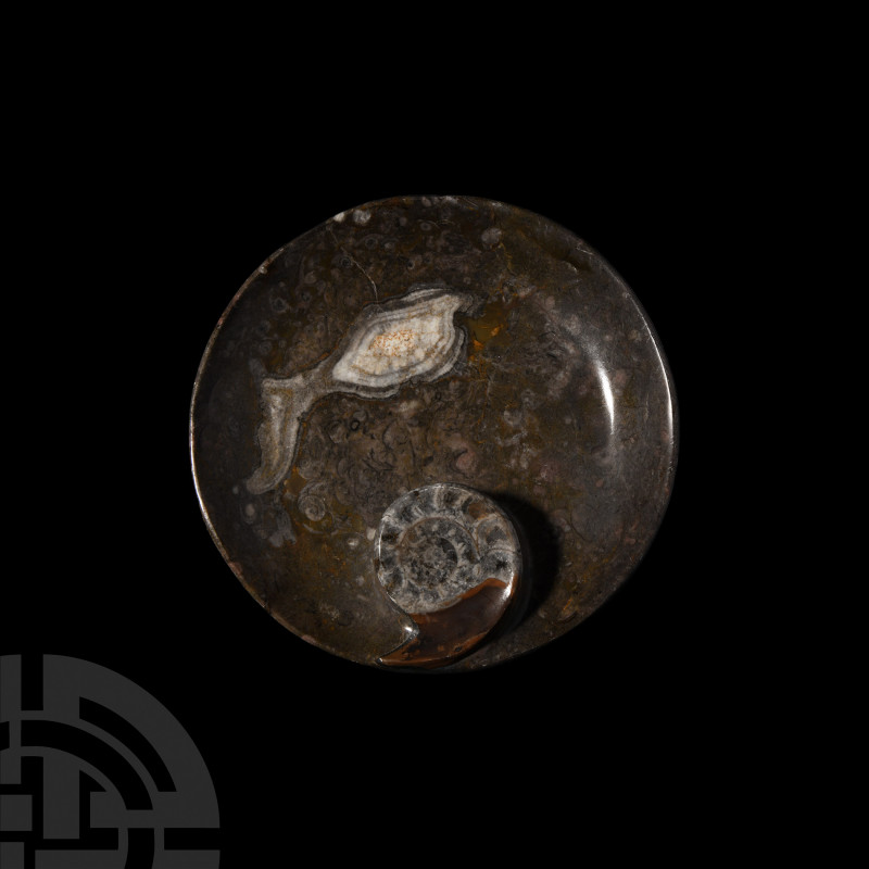 Fossil Ammonite Bowl. Devonian Period, c.390 million years B.P. A carved bowl of...