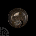Fossil Ammonite Bowl. Devonian Period, c.390 million years B.P. A carved bowl of Devonian fossiliferous limestone containing several minor fossils in ...