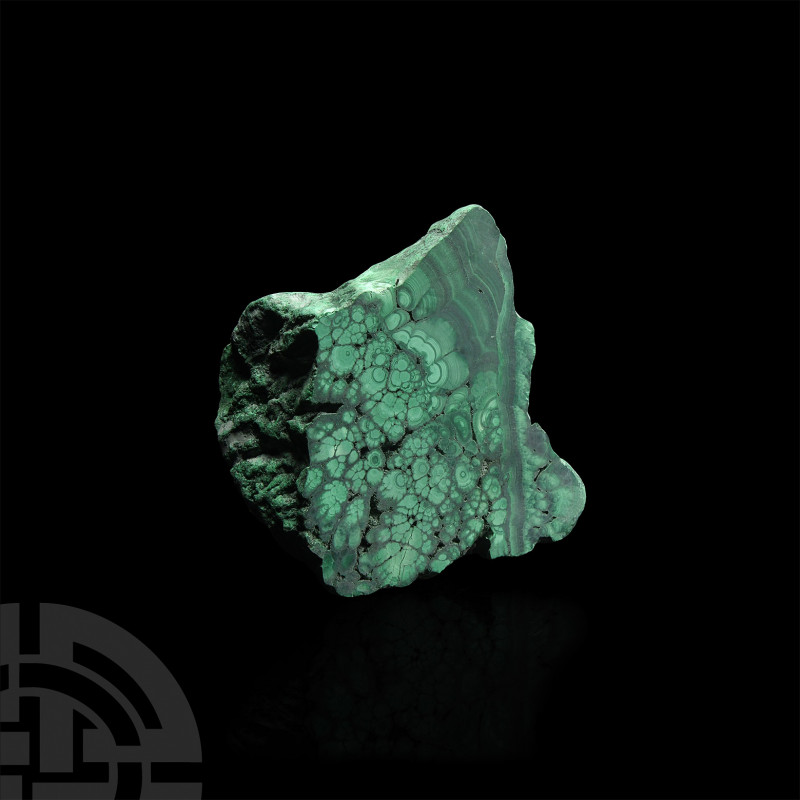 Polished Malachite Section. A specimen of malachite with one cut face showing th...