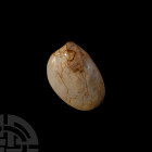 Polished Madagascan Fossil Bivalve. Jurassic Period, c.160 million years B.P. A polished fossil bivalve. 114 grams, 70 mm (2 3/4 in.) From Madagascar....