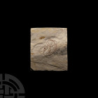 Fossil Hyphalosaurus Water Dragon. Jurassic Period, c.150 million years B.P. A curled fossil Hyphalosaurus lingyuanensis skeleton set in rectangular m...