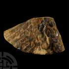 British Large Fossil Fish Body Section with Scales. Cretaceous Period, 145.5-65.5 million years B.P. A large section of a fossil fish body. 685 grams,...