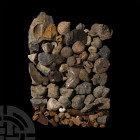 100 Mixed Historic Fossils. A mixed group of one hundred historic fossils of various types and sizes. 2.25 kg total, 1.2-10.9 cm (1/2 - 4 1/4 in.) Gre...
