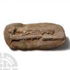 Ribbon Fish Fossil Jaw with Teeth. Late Cretaceous Period, 96-66 million years B.P. A ribbon fish Eutrichiurides sp. fossil jaw with teeth. 3.2 kg, 31...