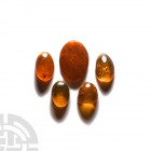 Insects in Baltic Amber Group. Oligocene Period, c.45 million years B.P. A group of five pieces of Baltic amber all containing flies together with oth...