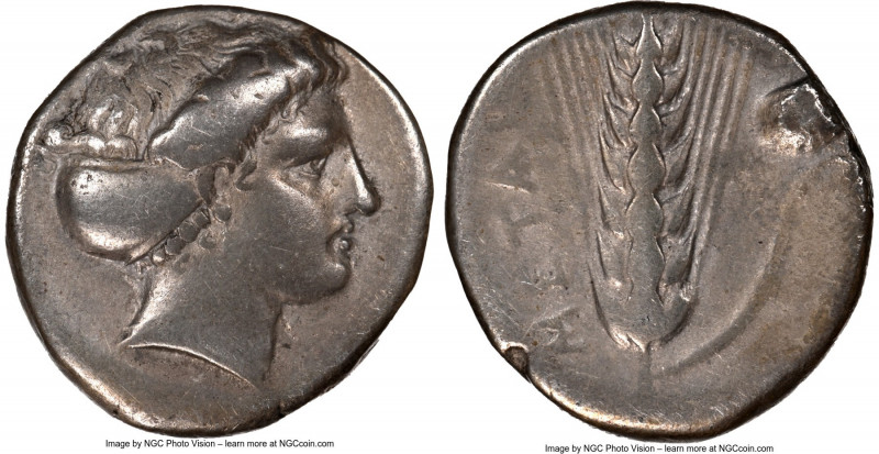 LUCANIA. Metapontum. Ca. 400-330 BC. AR stater (20mm, 7.71 gm, 11h). NGC Choice ...