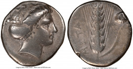 LUCANIA. Metapontum. Ca. 400-330 BC. AR stater (20mm, 7.71 gm, 11h). NGC Choice Fine 5/5 - 4/5, Fine Style. Head of Demeter right, hair bound in sacco...