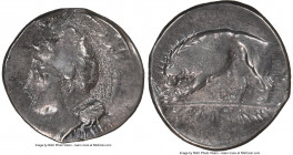 LUCANIA. Velia. Ca. 340-300 BC. AR didrachm (21mm, 7.54 gm, 2h). NGC VF 3/5 - 4/5. Ca. 334-300 BC, dies signed by Kleudorus. Head of Athena left, wear...