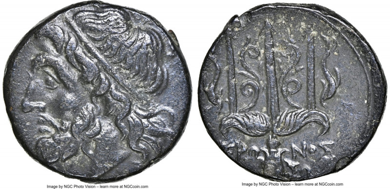 SICILY. Syracuse. Hieron II (ca. 275-215 BC). AE litra (19mm, 11h). NGC Choice X...