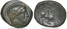 MACEDONIAN KINGDOM. Philip II (359-336 BC). AE unit (19mm, 11h). NGC Choice VF. Uncertain mint in Macedonia. Head of Apollo right, wearing taenia / ΦI...