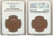 Victoria Penny 1858 MS61 Brown NGC, KM739, S-3948, Large date. 

HID09801242017

© 2022 Heritage Auctions | All Rights Reserved