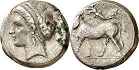 (275-250 a.C.). Italia. Neapolis. Didracma. (S. 309 var) (CNG. I, 454 var). 7,12 g. MBC/MBC-.